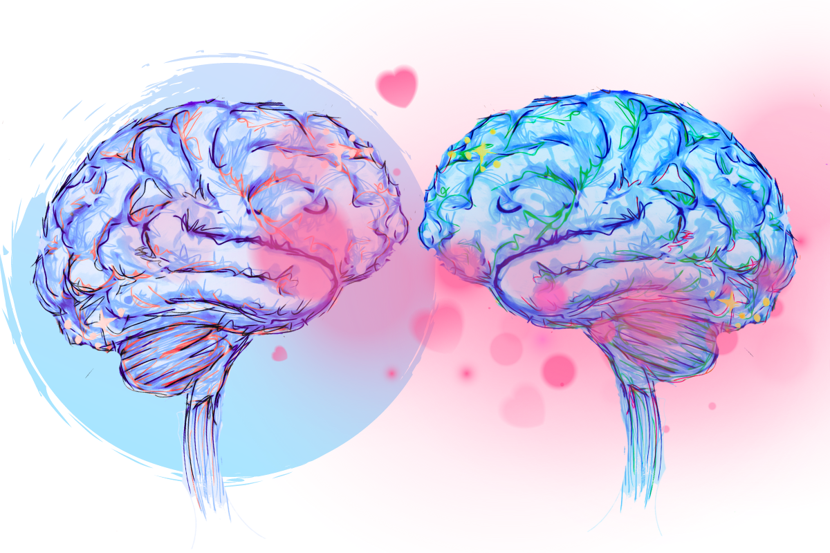 Two Complex Strengths brains are facing each other The brain on the left of the image is slightly plainer, darker, and is on a simple turquoise circle background. The brain on the right is more delicately coloured and surrounded by a soft haze of pink and a cloud of hearts by Julia Harris of Complex Strengths This is to demonstrate perhaps the difference between an alexithymic or analytical brain, and a strongly emotional brain.