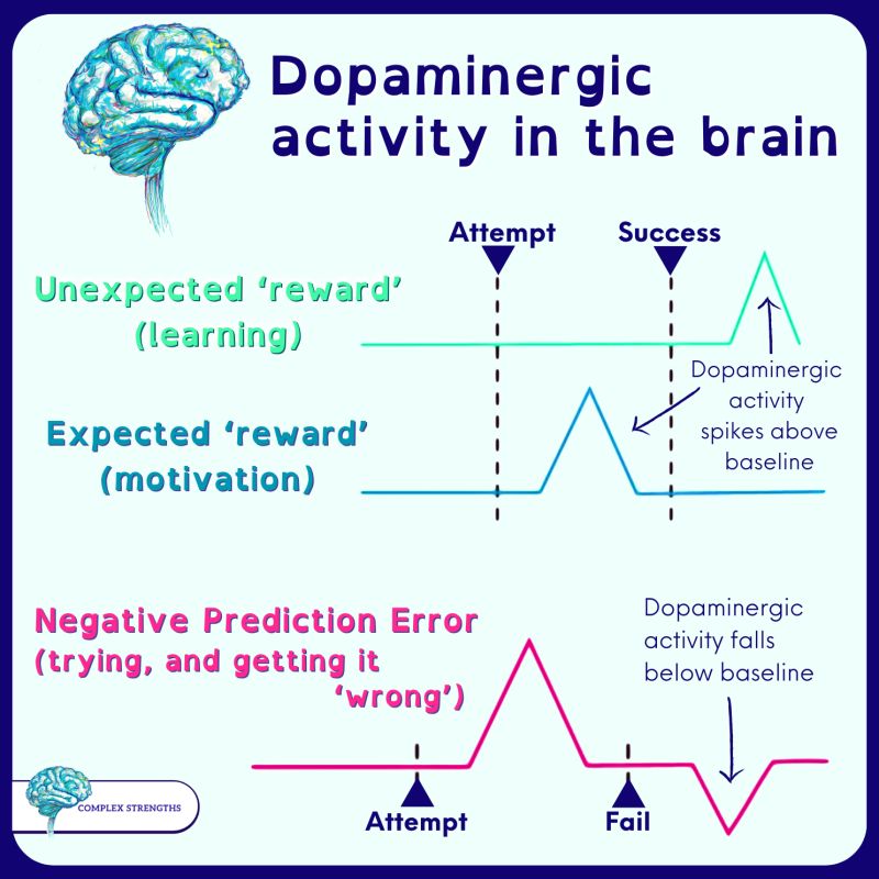 A hard to describe graph that illustrates the dopamine spikes and deficits that occur in the brain during learning.Rewards and motivation include dopamine spikes above baseline, first after success, and then before success.Negative prediction error (trying and getting it wrong) the graph shows first a spike then a dip.The Complex Strengths' Blue Brain logo appears in the bottom left corner.